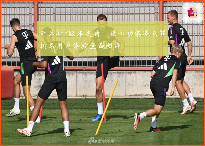 开云APP版本更新：核心功能亮点解析及用户体验全面测评