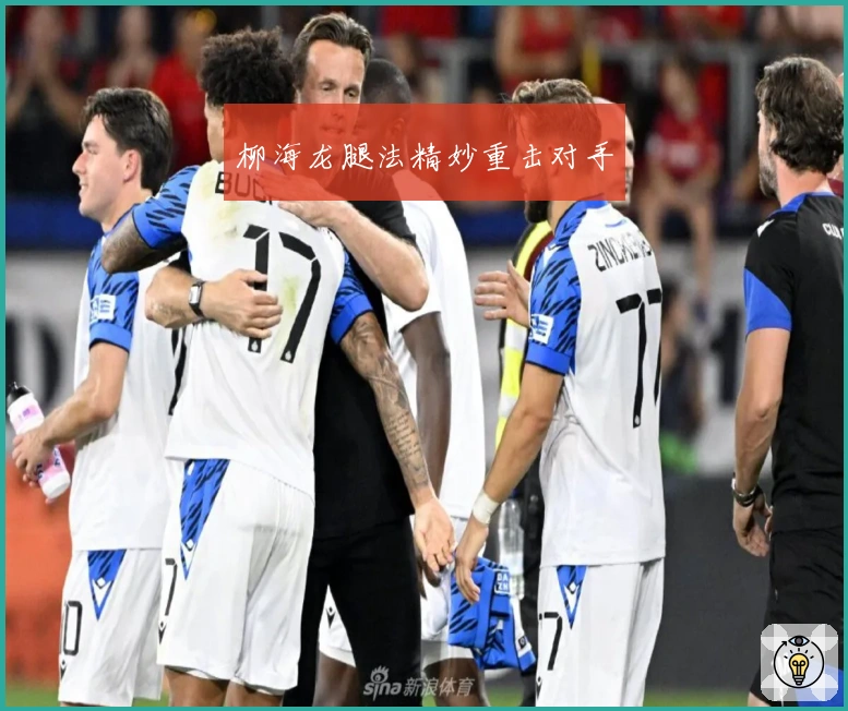 柳海龙腿法精妙重击对手