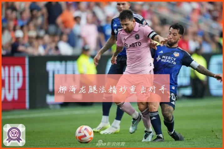 柳海龙腿法精妙重击对手