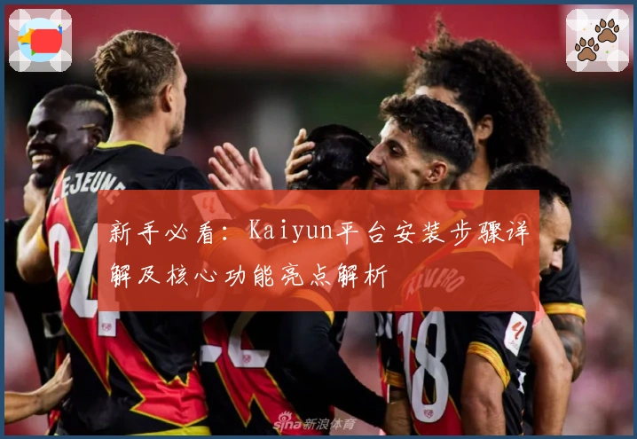 新手必看：Kaiyun平台安装步骤详解及核心功能亮点解析